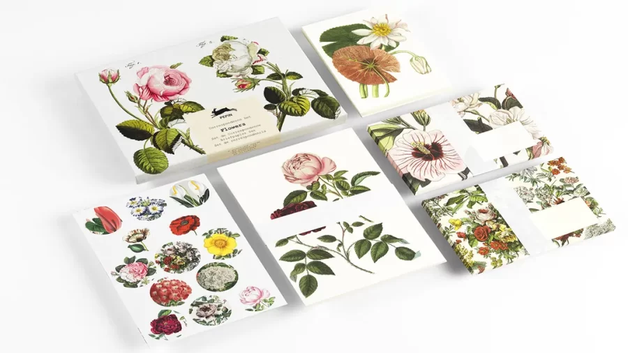 Conjunto de correspondencia Flores - Imagen 2