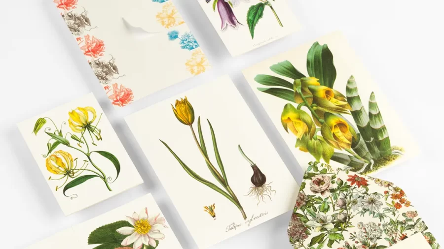Conjunto de correspondencia Flores - Imagen 4