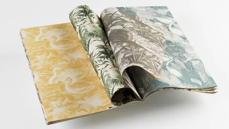 Papel de regalo Historia Natural - Imagen 2